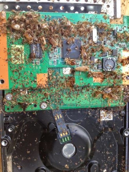 morning picdump 56 pics 14.html - 56 HD Photos | Premium Gallery 2014