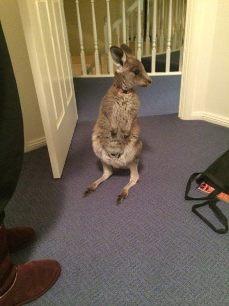 morning picdump 56 pics 14.html - 56 HD Photos | Premium Gallery 2014