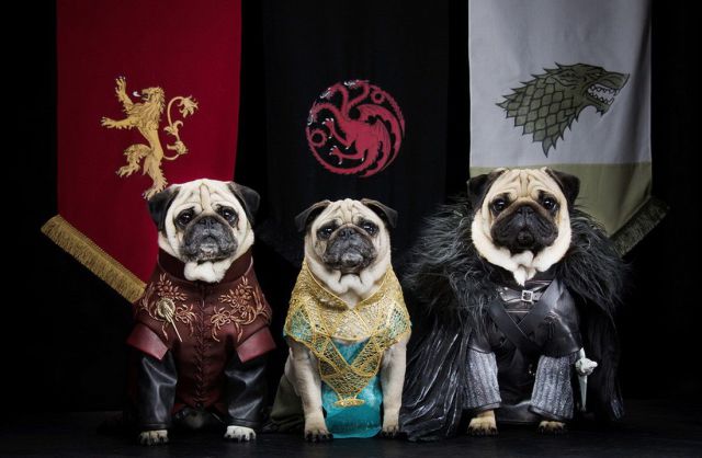 Morning Picdump