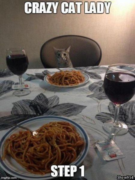 Morning Picdump