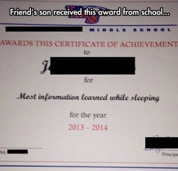 Morning Picdump