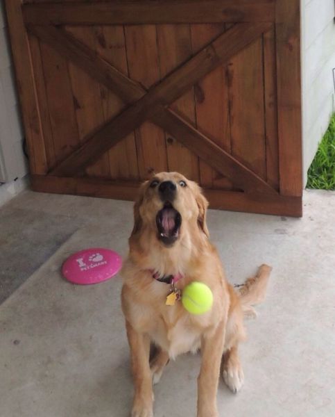 Morning Picdump