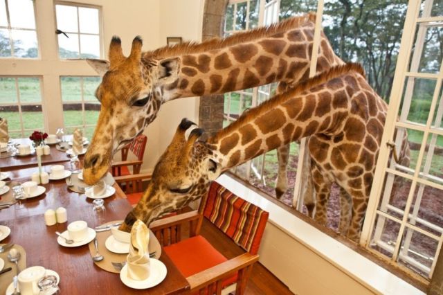 Morning Picdump