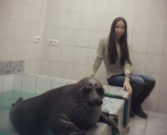 Morning Picdump