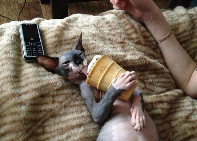 Morning Picdump