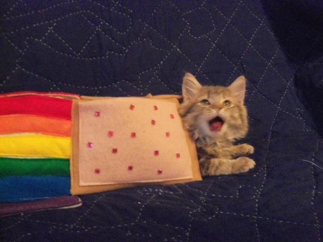 morning picdump 63 pics 31.html - 63 HD Photos | Premium Gallery 2014