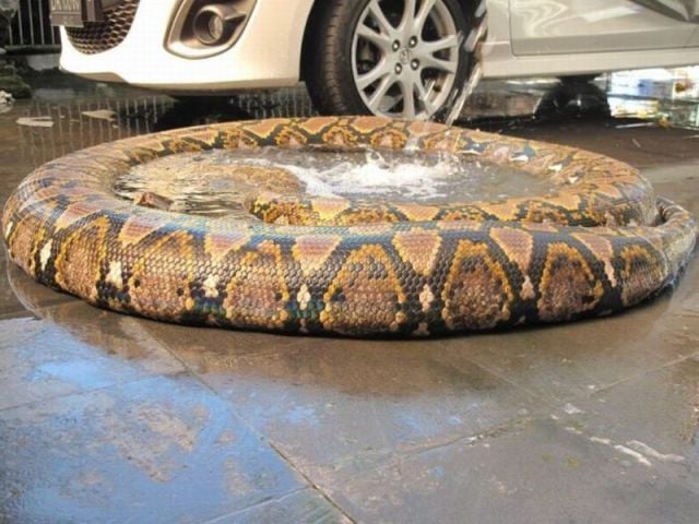 morning picdump 58 pics 14.html - 58 HD Photos | Premium Gallery 2014