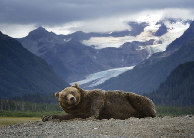 morning picdump 58 pics 14.html - 58 HD Photos | Premium Gallery 2014