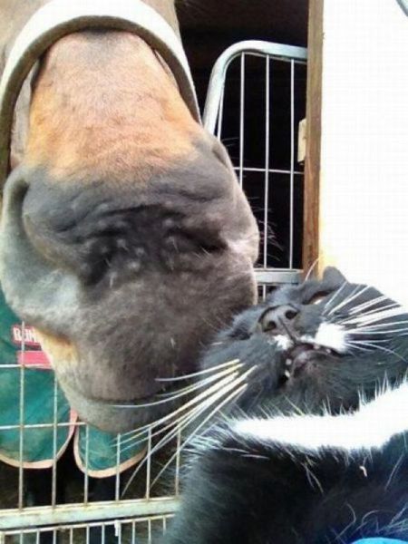 morning picdump 58 pics 14.html - 58 HD Photos | Premium Gallery 2014