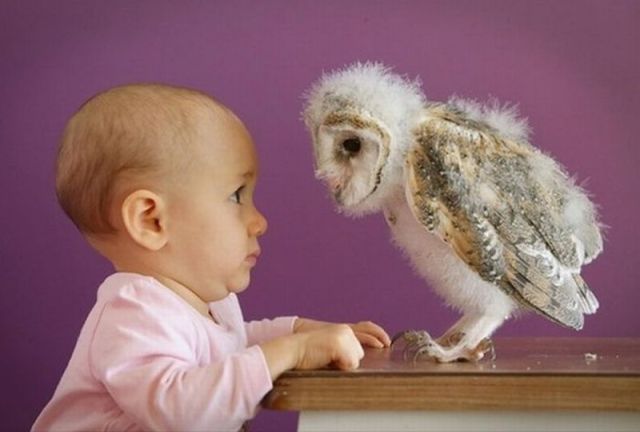 morning picdump 58 pics 14.html - 58 HD Photos | Premium Gallery 2014