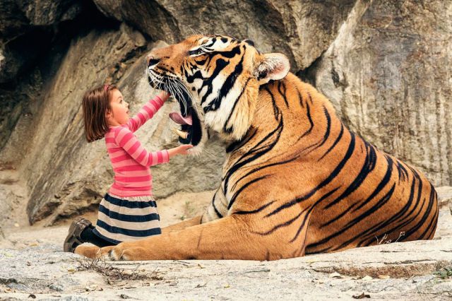 morning picdump 58 pics 14.html - 58 HD Photos | Premium Gallery 2014