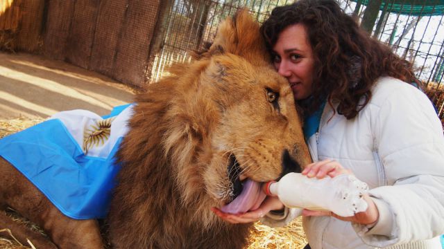 morning picdump 55 pics 2.html - 55 HD Photos | Premium Gallery 2014