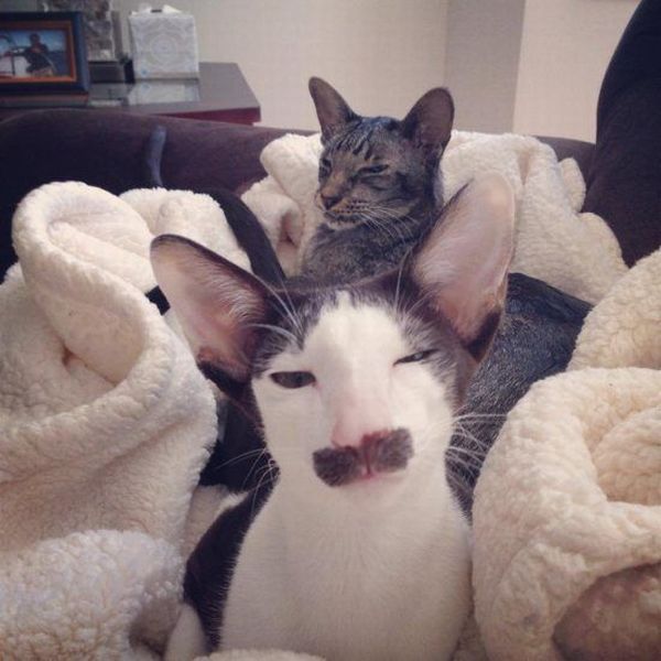 morning picdump 55 pics 2.html - 55 HD Photos | Premium Gallery 2014