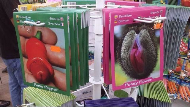 grownup corner 56 pics 15 gifs 9.html - 56 HD GIF | Premium Gallery 2014