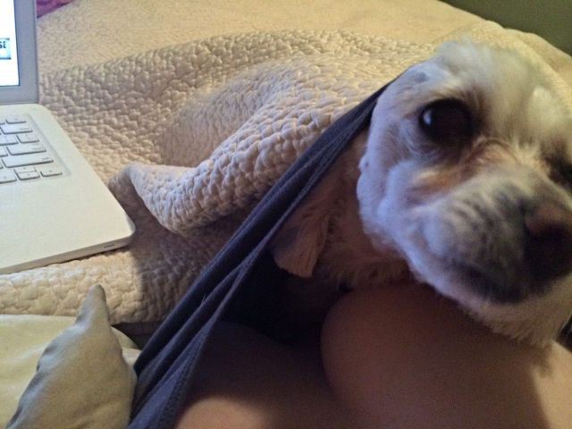 grownup corner 56 pics 15 gifs 9.html - 56 HD GIF | Premium Gallery 2014