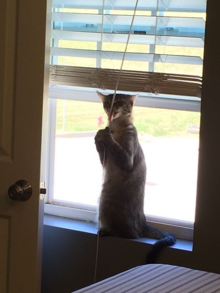 morning picdump 58 pics 9.html - 58 HD Photos | Premium Gallery 2014