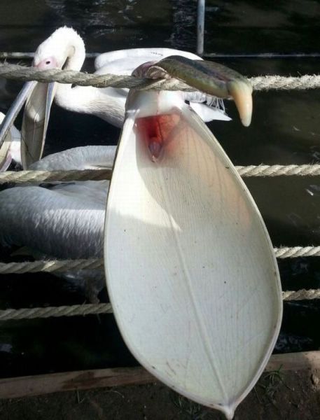 morning picdump 58 pics 9.html - 58 HD Photos | Premium Gallery 2014