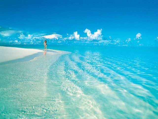 morning picdump 58 pics 9.html - 58 HD Photos | Premium Gallery 2014