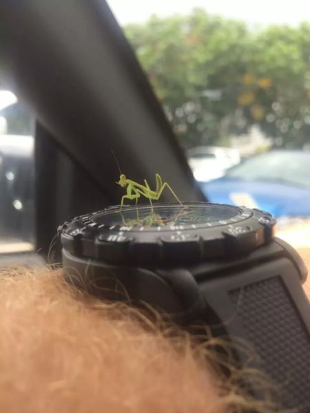 daily picdump 98 pics 38.html - 98 HD Photos | Premium Gallery 2014