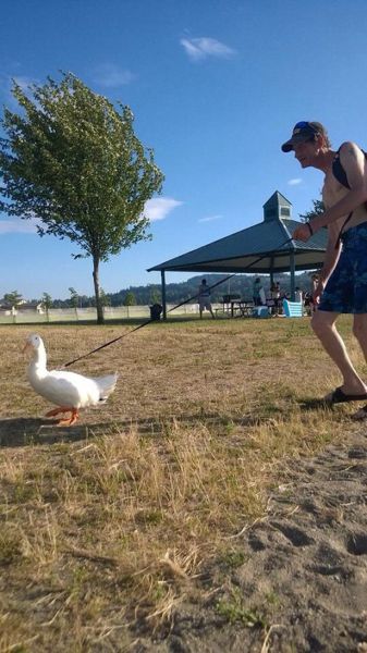 daily picdump 98 pics 38.html - 98 HD Photos | Premium Gallery 2014