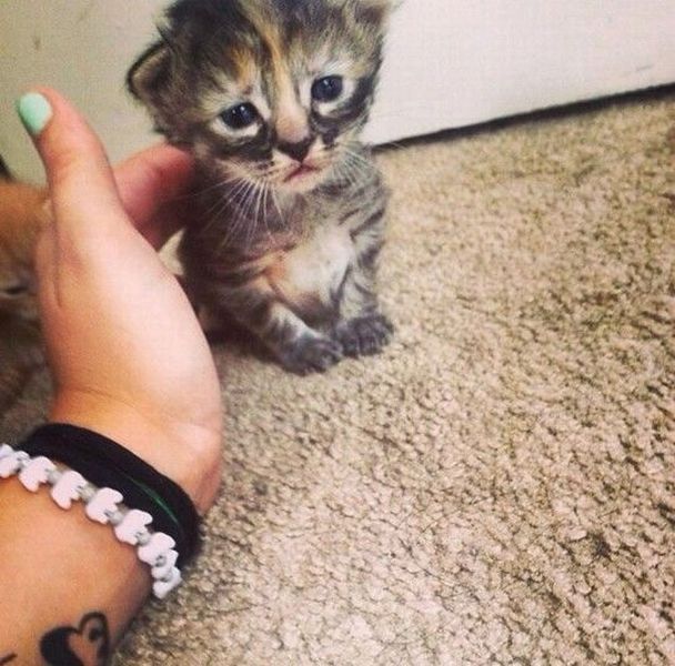 daily picdump 98 pics 38.html - 98 HD Photos | Premium Gallery 2014