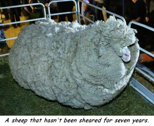 daily picdump 98 pics 38.html - 98 HD Photos | Premium Gallery 2014