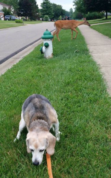 daily picdump 98 pics 38.html - 98 HD Photos | Premium Gallery 2014