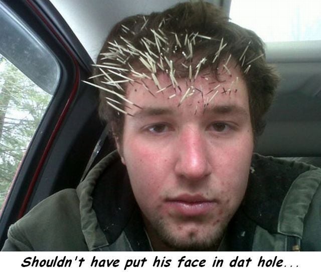 daily picdump 98 pics 38.html - 98 HD Photos | Premium Gallery 2014