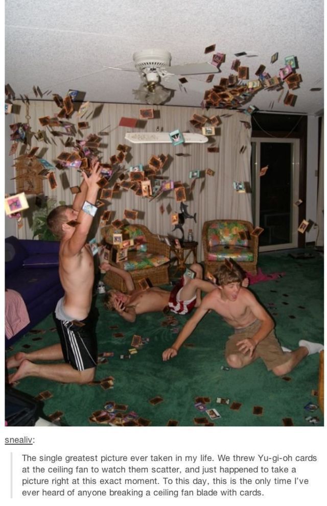 daily picdump 98 pics 38.html - 98 HD Photos | Premium Gallery 2014