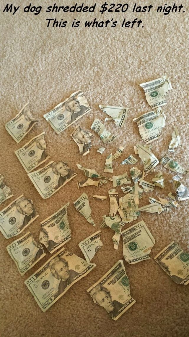 daily picdump 98 pics 38.html - 98 HD Photos | Premium Gallery 2014