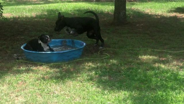 morning picdump 57 pics 14.html - 57 HD Photos | Premium Gallery 2014