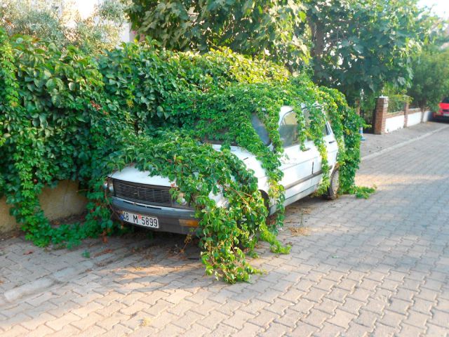 morning picdump 57 pics 14.html - 57 HD Photos | Premium Gallery 2014