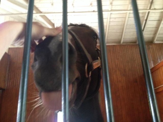 morning picdump 57 pics 14.html - 57 HD Photos | Premium Gallery 2014