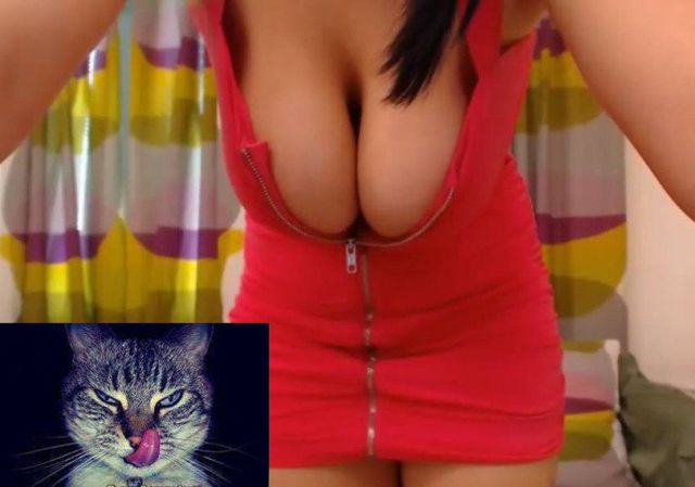 grownup corner 47 pics 22 gifs 25.html - 47 HD GIF | Premium Gallery 2014