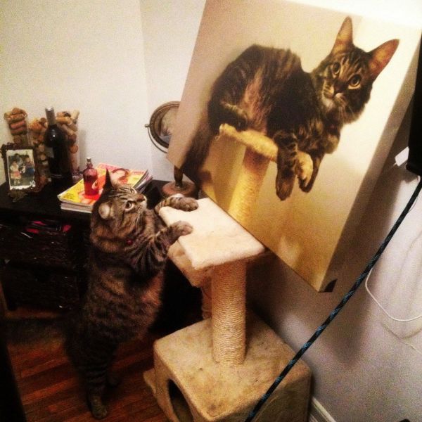 morning picdump 70 pics 5.html - 70 HD Photos | Premium Gallery 2014