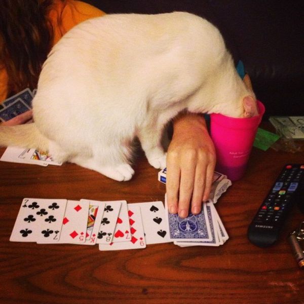 morning picdump 70 pics 5.html - 70 HD Photos | Premium Gallery 2014