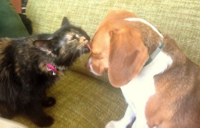 morning picdump 70 pics 5.html - 70 HD Photos | Premium Gallery 2014