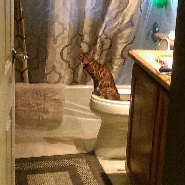 daily picdump 101 pics 49.html - 101 HD Photos | Premium Gallery 2014