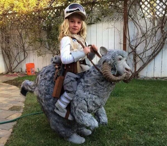 daily picdump 101 pics 49.html - 101 HD Photos | Premium Gallery 2014