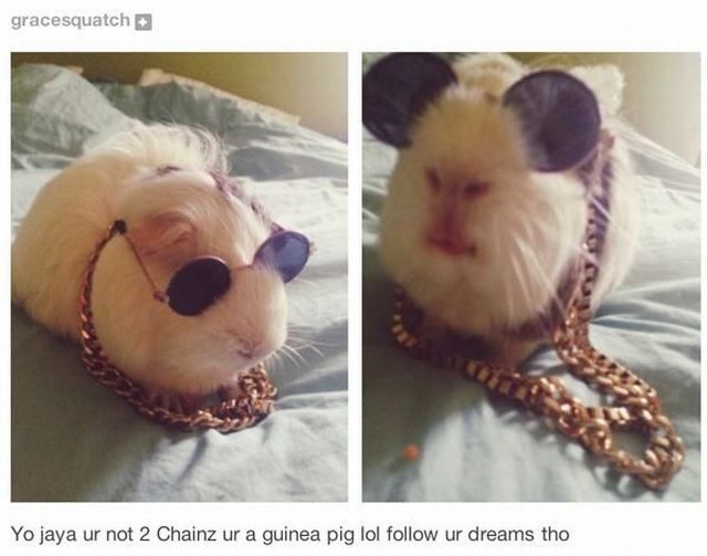 daily picdump 101 pics 49.html - 101 HD Photos | Premium Gallery 2014