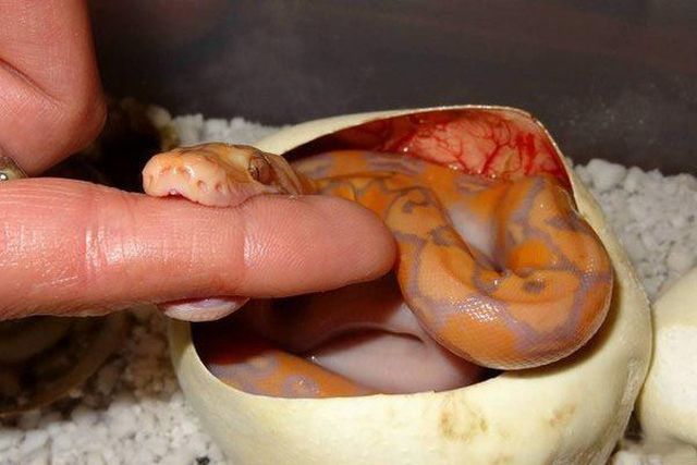 daily picdump 101 pics 49.html - 101 HD Photos | Premium Gallery 2014