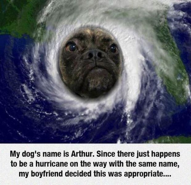 daily picdump 101 pics 49.html - 101 HD Photos | Premium Gallery 2014