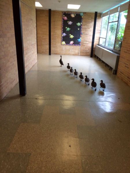 daily picdump 101 pics 49.html - 101 HD Photos | Premium Gallery 2014