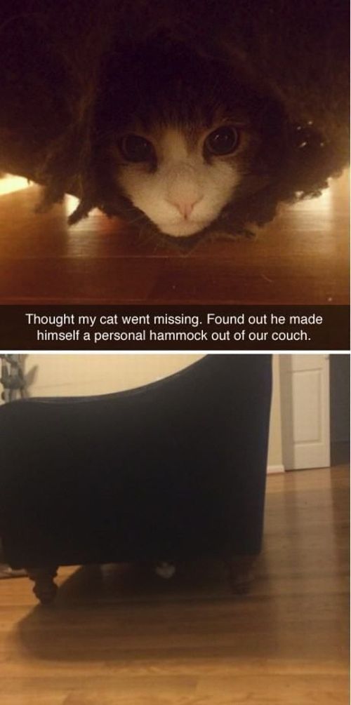 daily picdump 101 pics 49.html - 101 HD Photos | Premium Gallery 2014