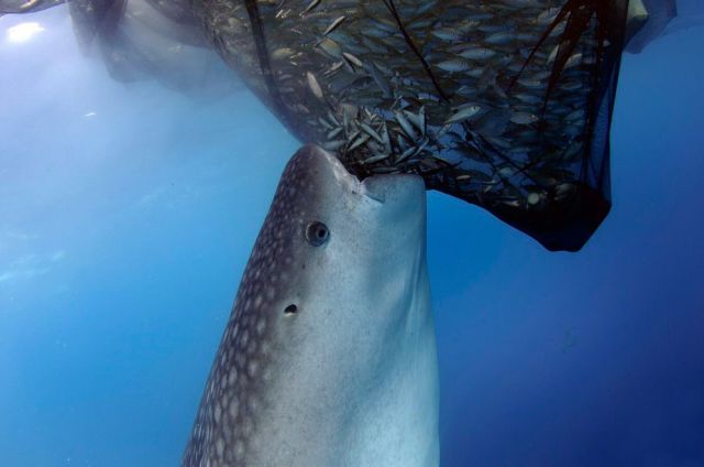 morning picdump 56 pics 2.html - 56 HD Photos | Premium Gallery 2014