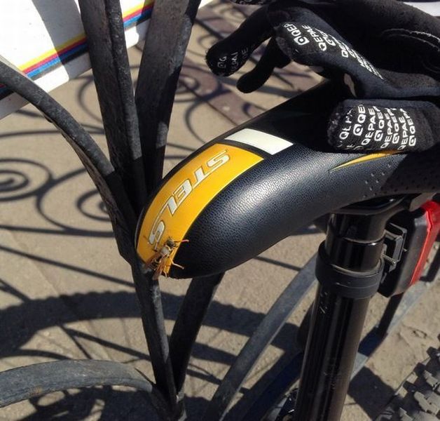 morning picdump 56 pics 2.html - 56 HD Photos | Premium Gallery 2014