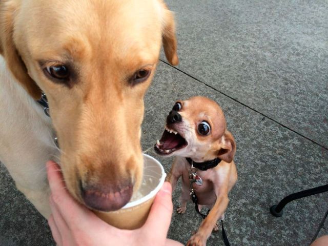 morning picdump 56 pics 2.html - 56 HD Photos | Premium Gallery 2014