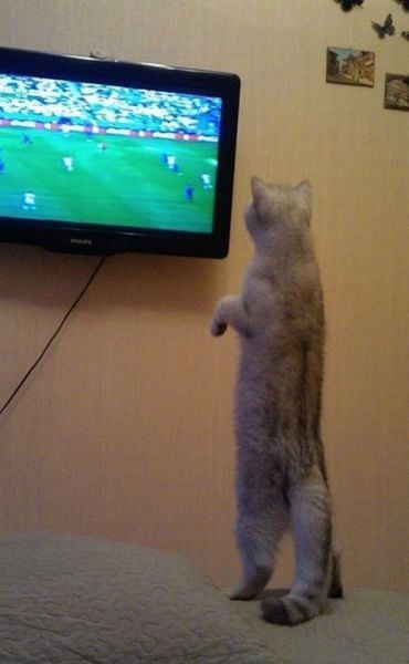 morning picdump 56 pics 2.html - 56 HD Photos | Premium Gallery 2014