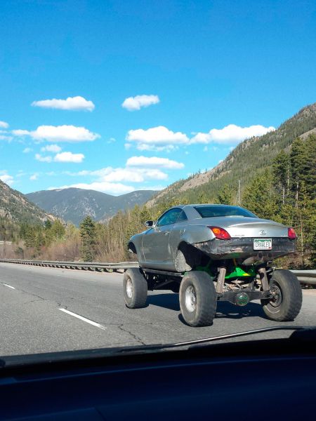 morning picdump 56 pics 2.html - 56 HD Photos | Premium Gallery 2014