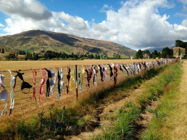 morning picdump 56 pics 2.html - 56 HD Photos | Premium Gallery 2014